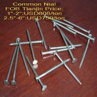 Sell Common Iron Nail
