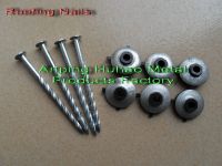 Sell Flat Head Roofing Nails with Washer