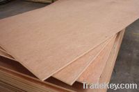 Sell 3.6mm bintangor face commercial plywood