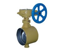 Butterfly Valve