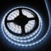 Sell SMD 5050/3528 LED ribbon