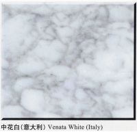 Sell Marble Tiles and Slabs-Venata White