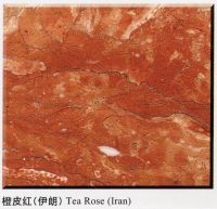 Sell Tea Rose Tiles