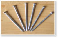 Sell Common wire nail