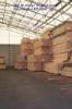 Sell Timber in Viet nam