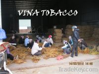 tobacco raw materials
