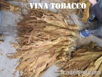 Tobacco raw materials high quality