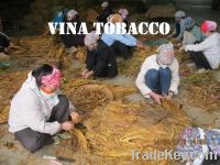 tobacco raw materials from Vietnam