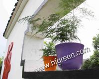Sell Landscaping & Gardening flower pots