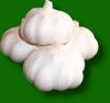 Sell good quality garlic