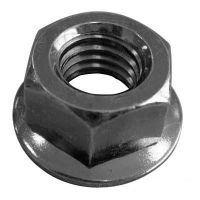 Sell  FLANGE  NUTS