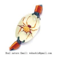 Real insect amber bracelet