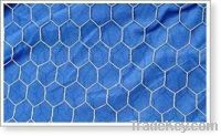 Sell haxagonal wire netting