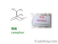 Camphor, Camphor crystal, camphor powder, DL-campher, campher, camphore, Cas.76-22-2