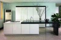 kitchen cabinets  (PBKC--05)