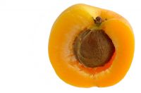 Sell Apricot Puree Turkish origin 505 EURO/MT