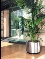 Sell Stainless Steel Flower Pots