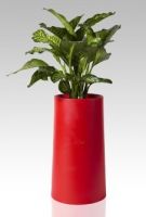 Sell Stainless Steel Red Flower Pots