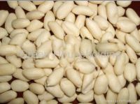 Blanched Peanut Kernels