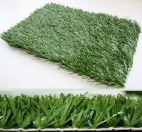 Sell landscaping grass  L 30115