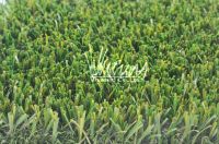 landscaping turf/grass  L35454