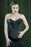 Sexy Lingeries, Sexy Corsets, Sexy Underwears