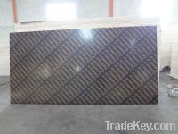Sell 18mm film faced plywood for Middle East market