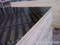 Sell CONSMOS Water proof plywood (Skype:goria19891008)