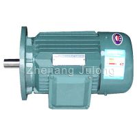 Y Series Cast Iron Body Motors