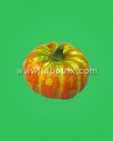 Sell  pumpkin model