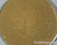 Sell Champignon Extract Powder