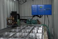 Sell new block ice plant