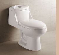 ONE PIECE TOILET (DO-A008)