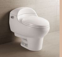 ONE PIECE TOILET(DO-A015)