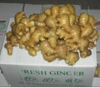 Sell farm products(peanut,garlic,ginger,onion,chestnut,Pumpkin Seeds)