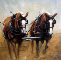 Sell horse oil painting, horse oil canvas