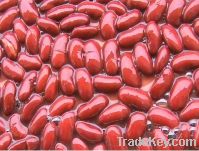 Sell canned red kidney beans