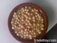 Sell canned chick peas