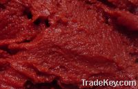 Sell canned tomato paste