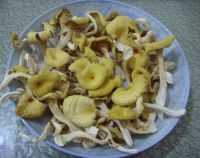 Sell Dried Chanterelle