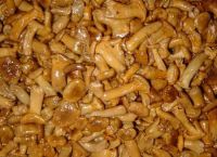 Sell Brined Chanterelle