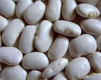 Sell Large White Kidney Beans