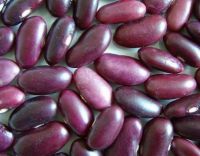 Sell Kidney Beans