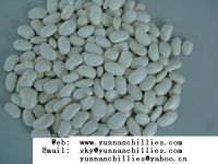 Sell yunnan white kidney bean 2010 crop