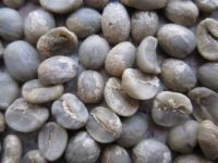 Sell yunnan arabica coffee bean