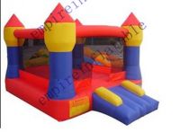 Inflatable House Bouncers