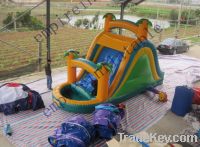 Sell inflatable water slide