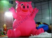 Sell inflatable pig