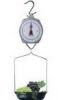 hanging scale (XY-708A)