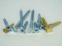 Sell Stainless Wood Screw